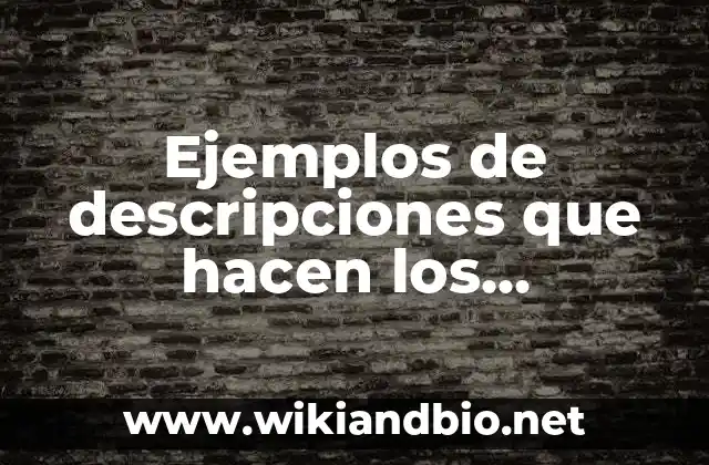 Ejemplos de descripciones que hacen los comentaristas de televisión: Definición según Autor, qué es, Concepto y Significado