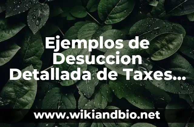 Ejemplos de Desuccion Detallada de Taxes para IRS: Definición según Autor, qué es, Concepto y Significado