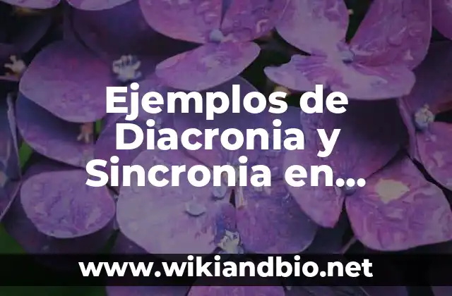 Ejemplos de Diacronia y Sincronia en Historia: Definición según Autor, qué