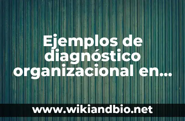Ejemplos de diagnóstico organizacional en una tienda departamental
