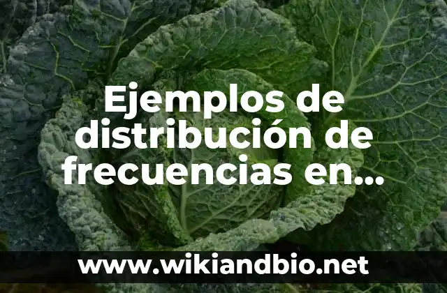 Ejemplos de distribución de frecuencias en datos no agrupados: Definición según Autor, qué es, Concepto y Significado