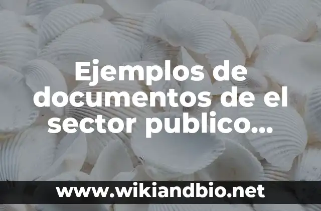 Ejemplos de documentos de el sector publico balance general: Definición según Autor, qué es, Concepto y Significado