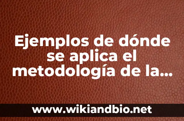 Ejemplos de dónde se aplica el metodología de la investigación: Definición