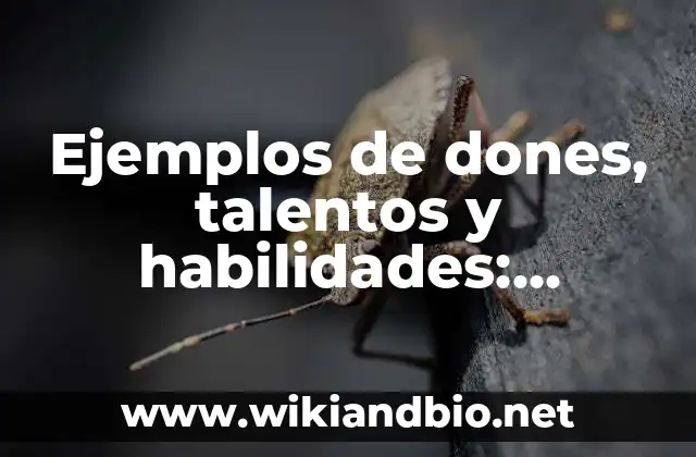 Ejemplos de dones, talentos y habilidades