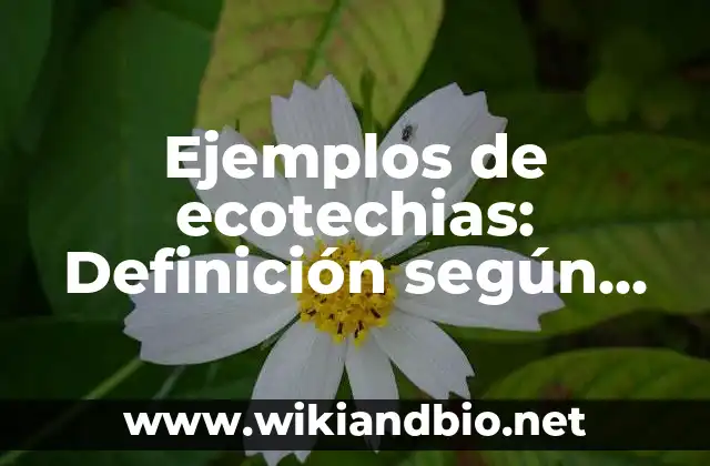 Ejemplos de ecotechias: Definición según Autor, qué es, Concepto