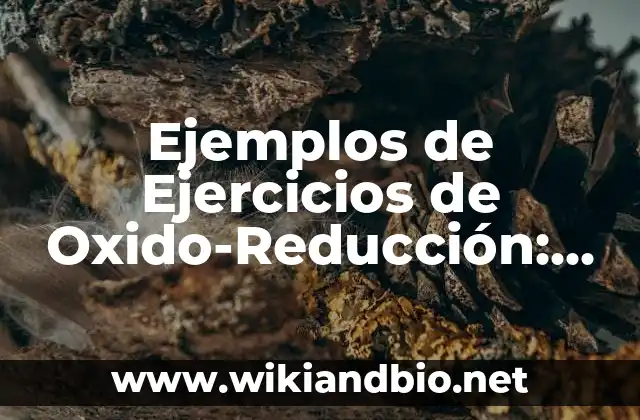Ejemplos de Ejercicios de Oxido-Reducción: Definición según Autor, ¿qué es?