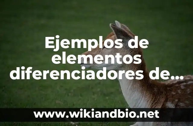 Ejemplos de elementos diferenciadores de una empresa: Definición según Autor, qué es, Concepto y Significado