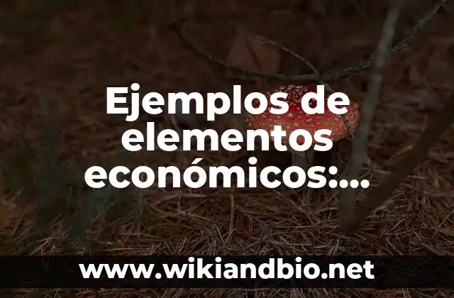 Ejemplos de elementos económicos: Definición según Autor, qué es, Concepto