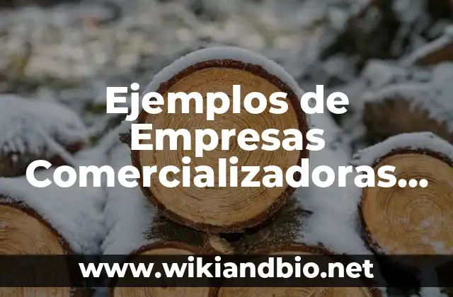 Ejemplos de Empresas Comercializadoras Mexicanas: Definición según Autor