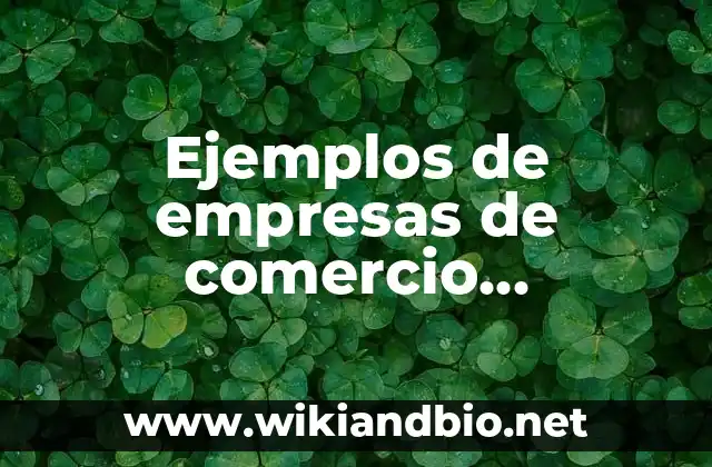 Ejemplos de empresas de comercio internacional