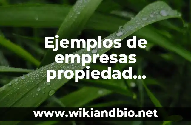 Ejemplos de empresas propiedad individual
