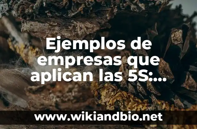 Ejemplos de empresas que aplican las 5S: Definición según Autor, ¿qué es?