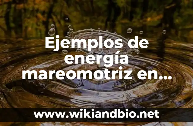 Ejemplos de energía mareomotriz en México: Definición según Autor, ¿qué es?
