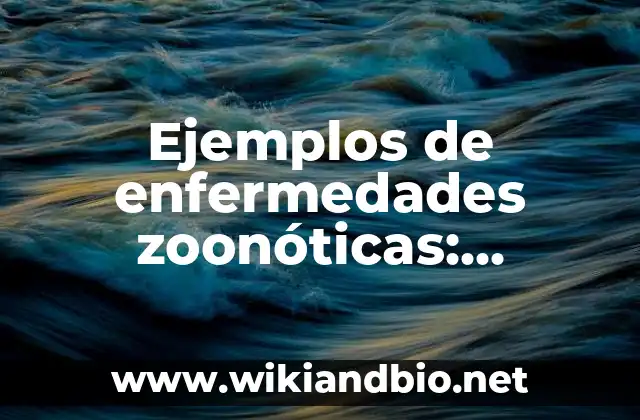 Ejemplos de enfermedades zoonóticas: Definición según Autor, ¿qué es?