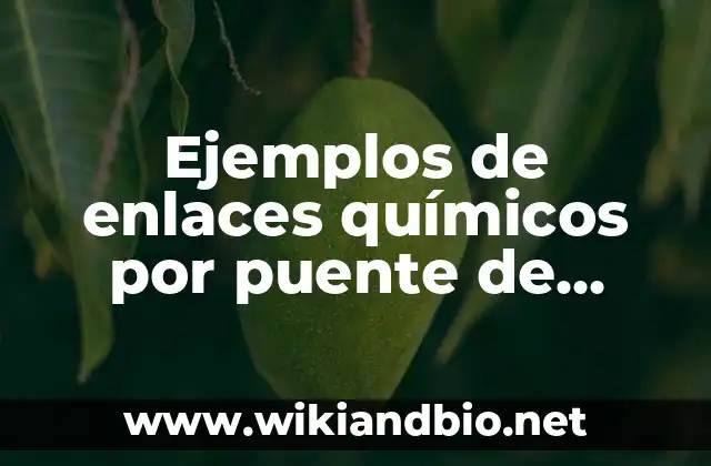 Ejemplos de enlaces químicos por puente de hidrógeno: Definición según Autor, qué es, Concepto y Significado