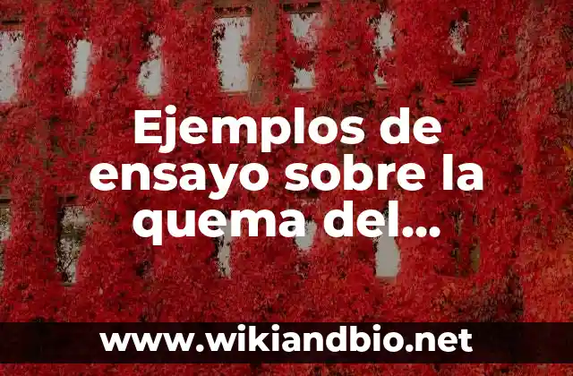 Ejemplos de ensayo sobre la quema del Amazonas: Definición según Autor, qué es, Concepto y Significado