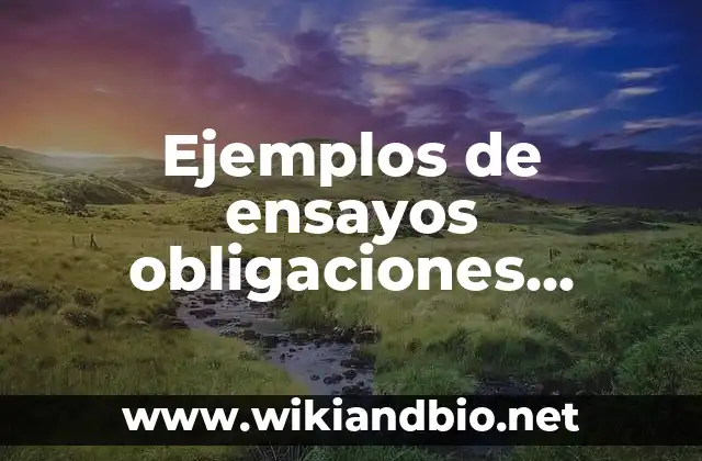 Ejemplos de ensayo obligación nacida de la convención derechos romanos