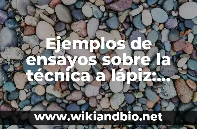 Ejemplos de ensayos sobre la técnica a lápiz: Definición según Autor, qué