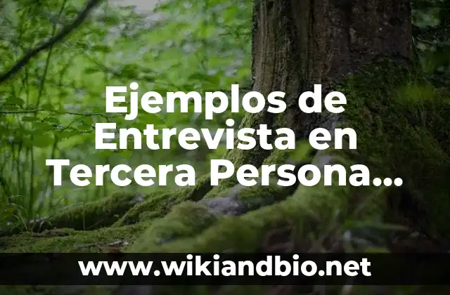 Ejemplos de Entrevista en Tercera Persona sobre un Oficio: Definición según