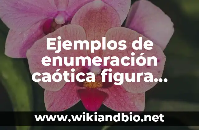 Ejemplos de enumeración caótica