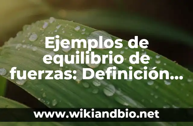 Ejemplos de equilibrio de fuerzas: Definición según Autor, qué es, Concepto y Significado