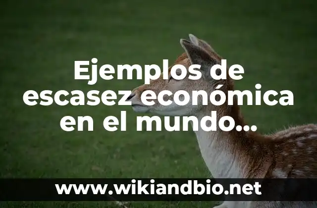 Ejemplos de escasez económica en el mundo actual: Definición según Autor