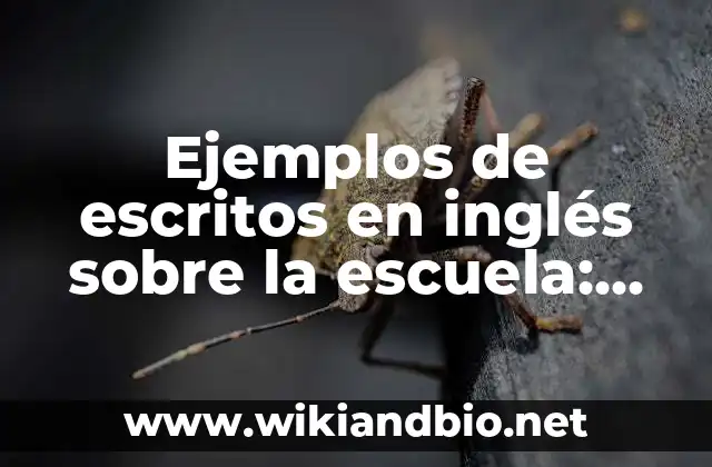 Ejemplos de escritos en inglés sobre la escuela