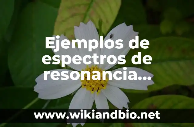 Ejemplos de espectros de resonancia magnetica nuclear en la medicina
