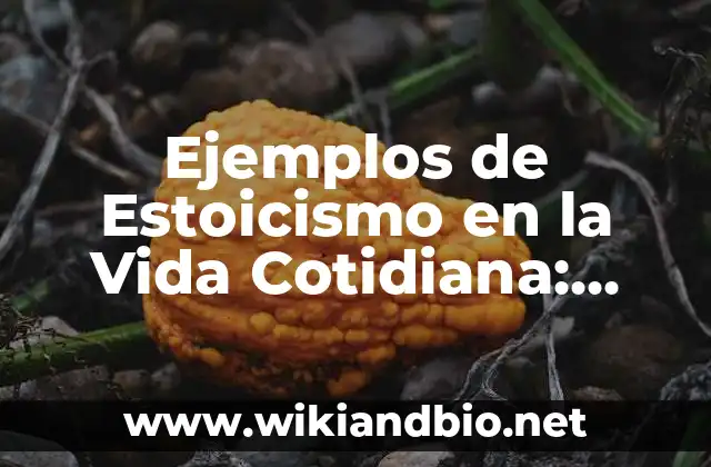 Ejemplos de Estoicismo en la Vida Cotidiana: Cómo Aplicar la Filosofía Estoica en el Mundo Real