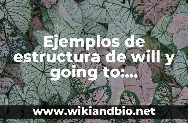 Ejemplos de estructura de will y going to