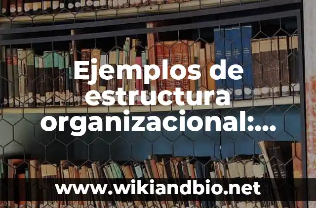 Ejemplos de estructura organizacional: Definición según Autor, ¿qué es?
