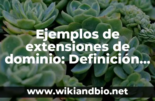 Ejemplos de extensiones de dominio: Definición según Autor, ¿qué es?