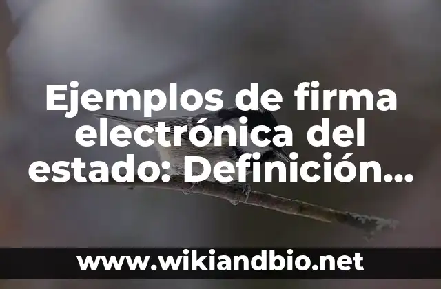 Ejemplos de firma electrónica del estado