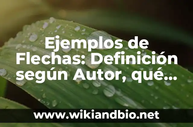 Ejemplos de Flechas: Definición según Autor, qué es, Concepto y Significado