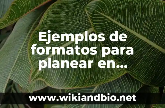Ejemplos de formatos para planear en preescolar nuevo modelo: Definición