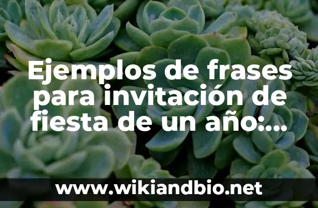 Ejemplos de frases para invitación de fiesta de un año: Definición según