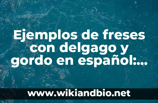 Ejemplos de freses con delgago y gordo en español: Definición según Autor, qué es, Concepto y Significado