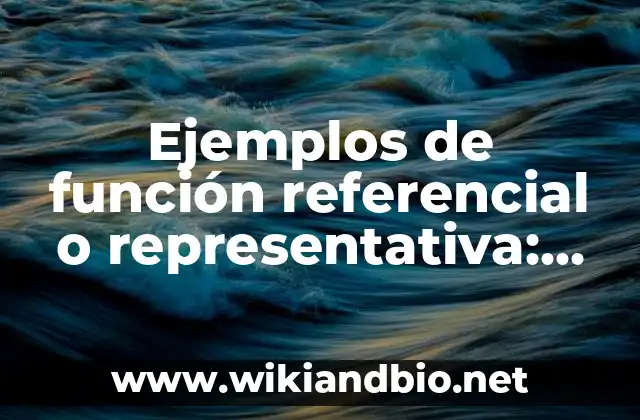 Ejemplos de función referencial o representativa: Definición según Autor