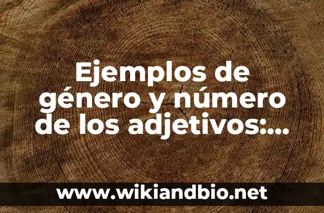 Ejemplos de género y número de los adjetivos