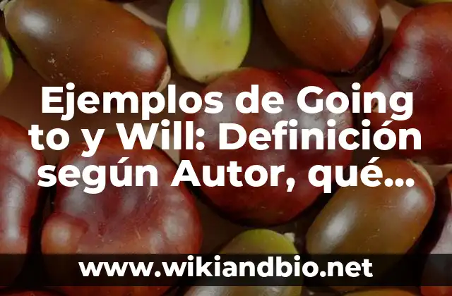 Ejemplos de Going to y Will: Definición según Autor, qué es, Concepto