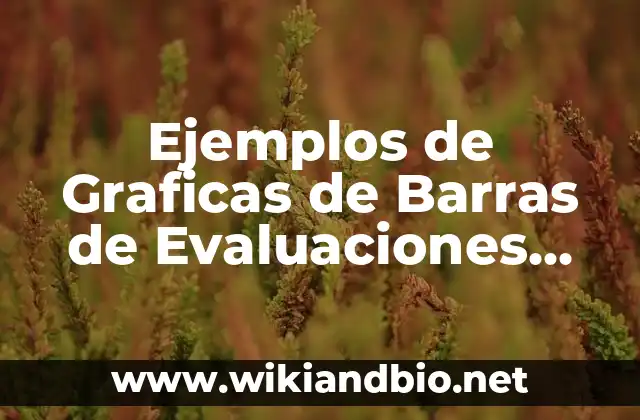 Ejemplos de Graficas de Barras de Evaluaciones Bimestrales para Primaria
