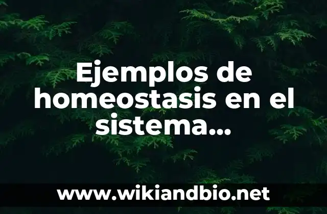 Ejemplos de homeostasis en el sistema circulatorio: Definición según Autor