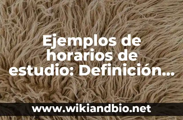 Ejemplos de horarios de estudio: Definición según Autor, qué es, Concepto