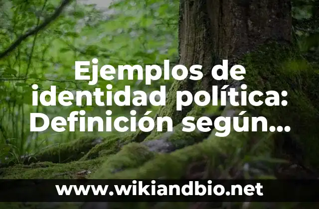 Ejemplos de identidad política: Definición según Autor, qué es, Concepto