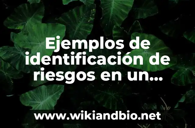 Ejemplos de identificación de riesgos en un proyecto: Definición según