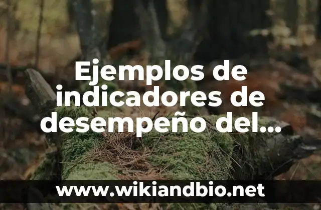 Ejemplos de indicadores de desempeño del área de almacen: Definición según