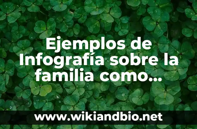 Ejemplos de Infografía sobre la familia como institución social: Definición