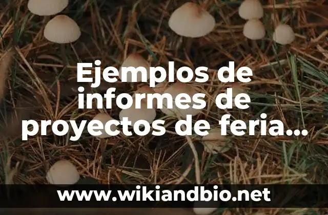 Ejemplos de informes de proyectos de feria de matemáticas primaria