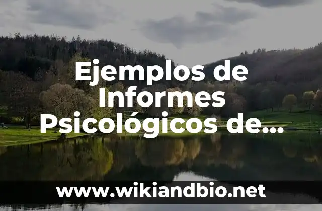 Ejemplos de Informes Psicológicos de Selección de Personal: Definición