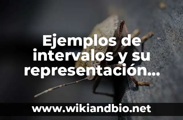 Ejemplos de intervalos